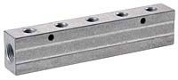 Vale® 1/2BSP Inlet Single Aluminium Manifold with 1/2BSP Outlets