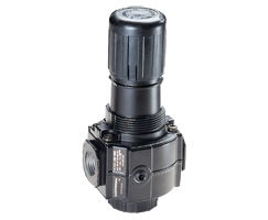 Excelon® Series 73 Relieving Regulator 1/4BSPP