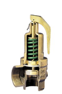 Nabic™ Series 542 Safety Relief Valve